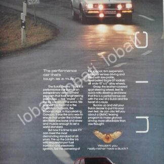 CARTEL ANTIGUO ORIGINAL DE AUTOS CHRYSLER BUICK ELECTRA 1985 /951