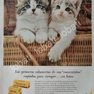 CARTEL ANTIGUO ORIGINAL DE ROLLOS & PELICULAS KODAK 1950s /549