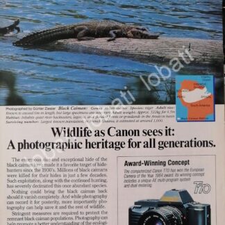 CARTEL ANTIGUO ORIGINAL DE CAMARAS FOTOGRAFICAS CANON T70 1980s /520