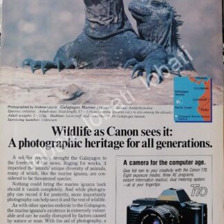 CARTEL ANTIGUO ORIGINAL DE CAMARAS FOTOGRAFICAS CANON T70 1980s /519