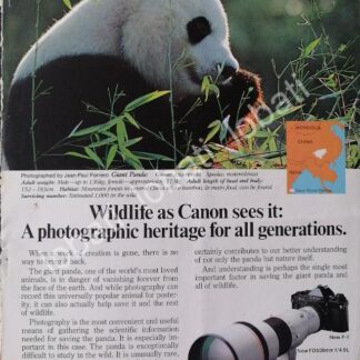 CARTEL ANTIGUO ORIGINAL DE CAMARAS FOTOGRAFICAS CANON F-1 1978 /508