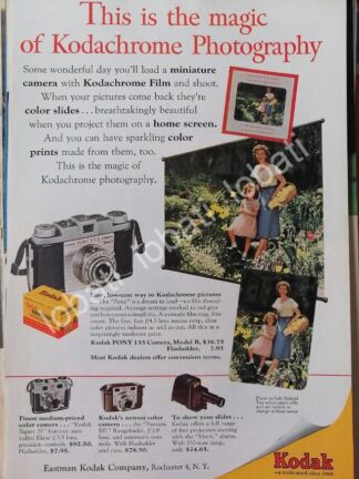 CARTEL ANTIGUO ORIGINAL DE CAMARAS FOTOGRAFICAS KODAK PONY 135 1950s /505