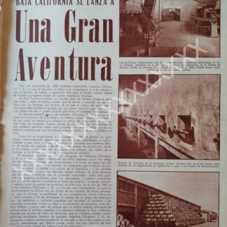 CARTEL ANTIGUO ORIGINAL DE , LA INDUSTRIA OLIVARERA B. CALIFORNIA 1959