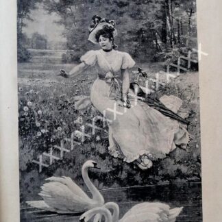 PORTADA ANTIGUA ORIGINAL 1896 LOS CISNES