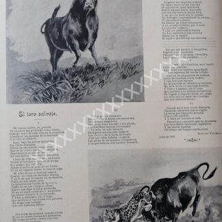 CARTEL ANTIGUO. POEMA AL TORO, DE RUDOLFO FIGUEROA 1896