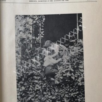 GRABADO/ PORTADA ANTIGUA ORIGINAL 1896 NIÑOS BESANDOSE