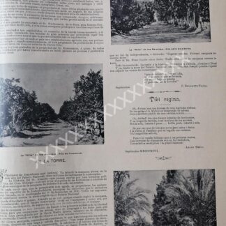 AFICHE ANTIGUO. 1896 VILLA DE LOS NARANJOS, GUAYMAS