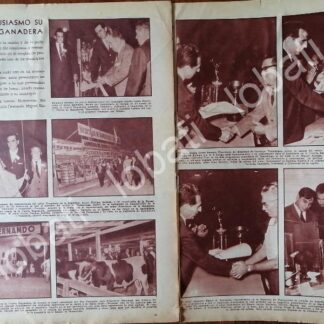 AFICHE RETRO. NORBERTO TREVIÑO ZAPATA Y GANADEROS. TMPS 1962