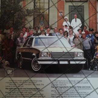 CARTEL VINTAGE ORIGINAL AUTOS CHEVROLET MALIBU 1979. -1102