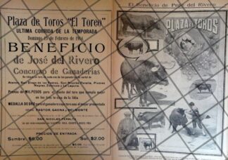 AFICHE ANTIGUO CORRIDA DE TOROS. BENEFICIO DE PEPE DEL RIVERO 1914