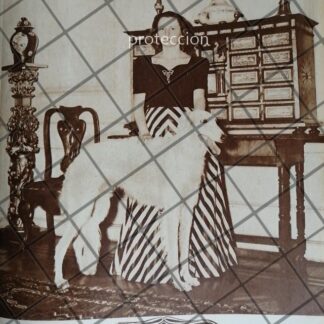 AFICHE ANTIGUO. MARIA TERESA CREEL DE CHARLES