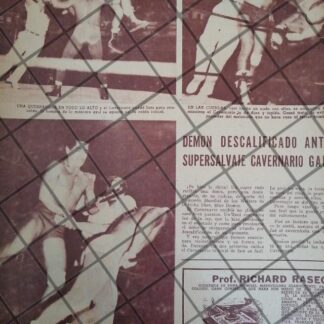 AFICHE RETRO LUCHA LIBRE CAVERNARIO GALINDO Vs BLUE DEMON 40