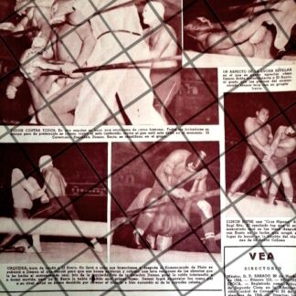 AFICHE RETRO LUCHA LIBRE EL SANTO, ORQUIDEA, SUGI SITO ETC