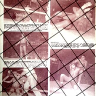 AFICHE RETRO LUCHA LIBRE BLUE DEMON Vs GORILITA FLORES