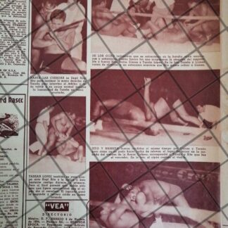 AFICHE RETRO LUCHA LIBRE SUGI SITO Vs BLUE DEMON