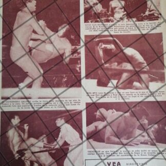 AFICHE RETRO LUCHA LIBRE BLUE DEMON, CAVERNARIO, SUGI SITO