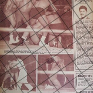 AFICHE RETRO LUCHA LIBRE, TARZAN LOPEZ, VERDUGO, CAVERNARIO ETC