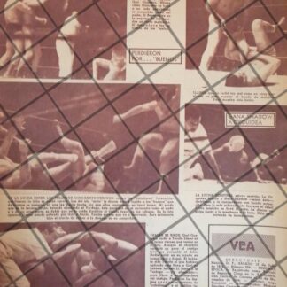 AFICHE RETRO LUCHA LIBRE, TARZAN LOPEZ, EL SANTO Y MAS