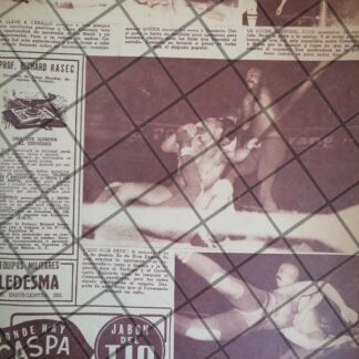 AFICHE RETRO LUCHA LIBRE, CAVERNARIO GALINDO, BLUE DEMON ETC 20