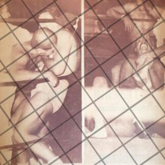 AFICHE RETRO LUCHA LIBRE, CAVERNARIO GALINDO Vs EL VERDUGO