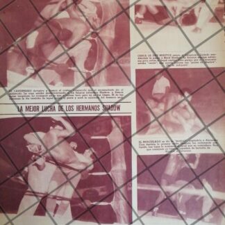 AFICHE RETRO LUCHADOR CAVERNARIO GALINDO, BLUE DEMON, Y OTROS