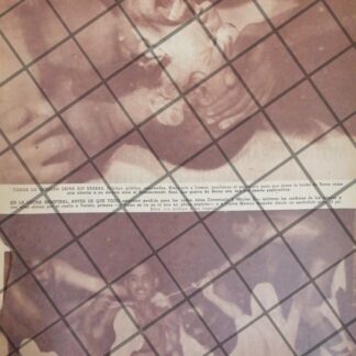 AFICHE RETRO LUCHADOR CAVERNARIO GALINDO, TONY BORNE Y MAS