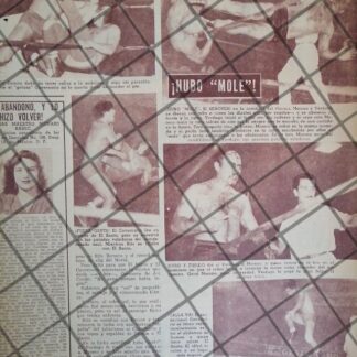 AFICHE RETRO LUCHADOR CAVERNARIO GALINDO, BLUE DEMON Y MAS