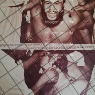 AFICHE RETRO LUCHADOR BLACK SHADOW RAPA A TONY BORNE