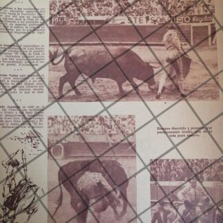 AFICHE ANTIGUO TORERO LUIS PROCUNA MONTES. 1950s