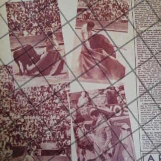 AFICHE ANTIGUO TORERO. NACHO TREVIÑO GARZA 1954