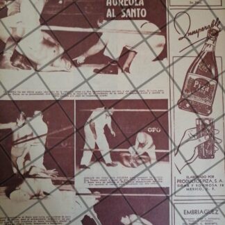 AFICHE RETRO LUCHA LIBRE EL SANTO Vs BLUE DEMON N57