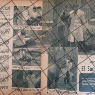 AFICHE RETRO FUTBOLISTA CARLOS MALVIDO VALVERDE 1963