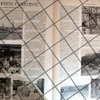 AFICHE ANTIGUO LA COMPAÑIA METALURGICA DE TORREON 1907