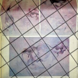 CARTEL PUBLICITARIO EXPOSICION DE CONCEPCION BAEZ. LIVERPOOL