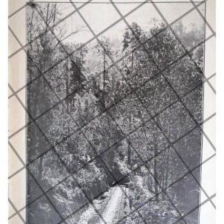 GRABADO ANTIGUO LA NEVERA HACIENDA JARIPEO MICHOACAN 1911