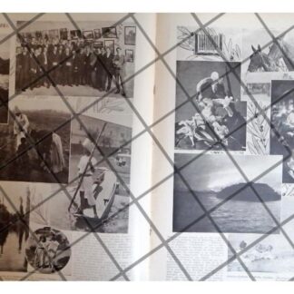 AFICHE RETRO CONCURSO NACIONAL DE FOTOGRAFIA 1911 *R