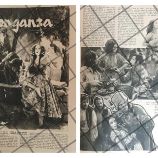 AFICHE ANTIGUO, DOLORES DEL RIO FILMA "VENGANZA" 1930