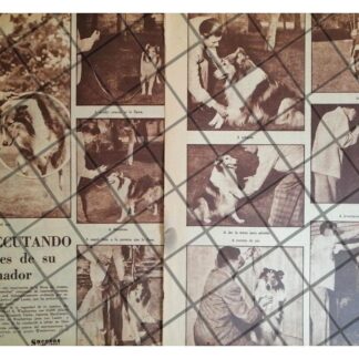 AFICHE ANTIGUO. EL PERRO LASSIE 1951