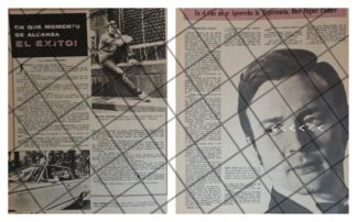 AFICHE ANTIGUO INICIOS DEL ACTOR MIGUEL PALMER 1969-71