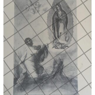 LITOGRAFIA ANTIGUA TERCERA APARICION A JUAN DIEGO 193