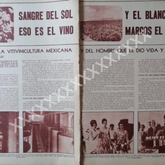 NOTA PRENSA ANTIGUA 1967 VIÑEDOS SAN MARCOS