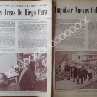 CARTEL ANTIGUO GIRA DE LEANDRO ROVIROSA 1973 /PLT