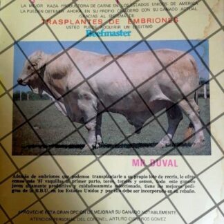 PUBLICIDAD RETRO GANADERIA ARTURO CISNEROS GOMEZ 1987