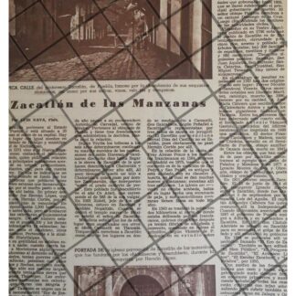 AFICHE RETRO. ZACATLAN DE LAS MANZANAS, PUEBLA 1969