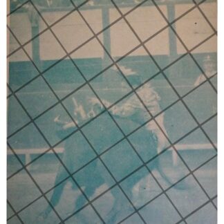 GRABADO RETRO TORERO JOSE M. FERNADEZ EL ALCALAREÑO 1922