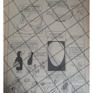 CARICATURA POLITICA RETRO DE JESUS CASTRUITA /EL HUEVO