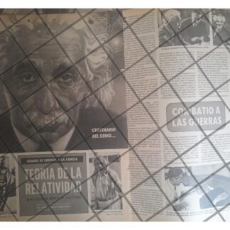 AFICHE RETRO CENTENARIO NATALICIO DE ALBERT EINSTEIN 1979