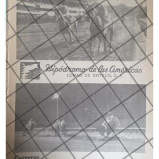 AFICHE RETRO HIPODROMO DE LAS AMERICAS 1980 /25