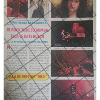 AFICHE RETRO LA CANTANTE KATE BUSCH 1979