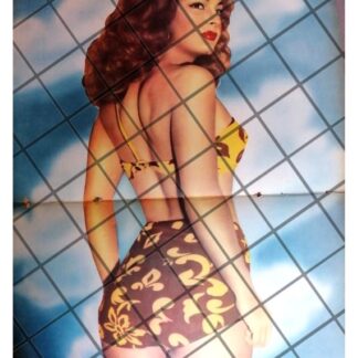 NOTA Y POSTER RETRO INICIOS DE ELSA AGUIRRE 1956